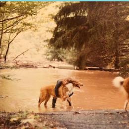Collie Puppies from Creekwood Collies