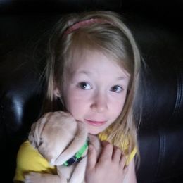 French Bulldog Puppies from Ginny's Frenchie's