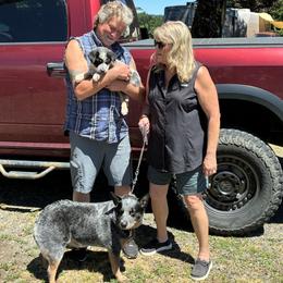 L63-01 - Blue male Australian Cattle Dog puppy in Sheridan, Oregon from 6pk Cattledogs