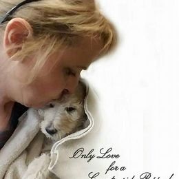 Poodle Puppies from Countryside Standard Poodles