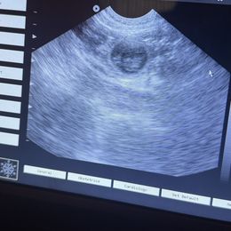 Goldendoodle puppies from Pawlydoodles