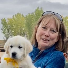 Golden Retriever and Jack Russell Terrier Puppies from Shelby Burleson's Golden Retrievers and Jack Russell Terriers