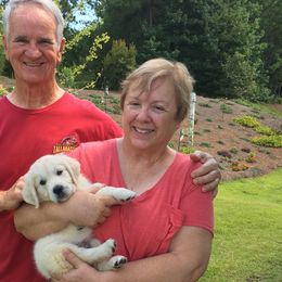 Golden Retriever Puppies from Suncoast Goldens