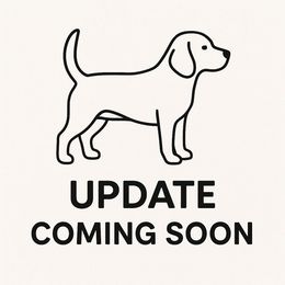 Aspen - Black red and white female Beagle puppy in Rose Bud, Arkansas from Rajun Cajun Kennels