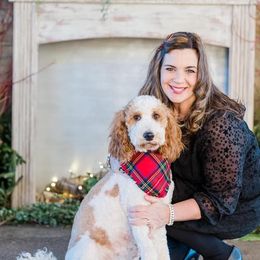 Goldendoodle Puppies from Happy Valley Doodles