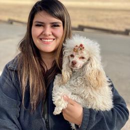 Baylee - Poodle