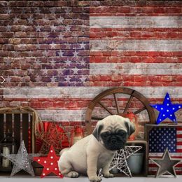 Elvis - Fawn male Pug puppy in Winter Haven, Florida from The Pugarazzi