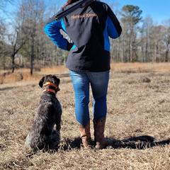 German Wirehaired Pointer Puppies from Fleetwood German Wirehaired Pointers