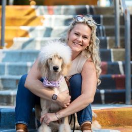 Lucy - Goldendoodle