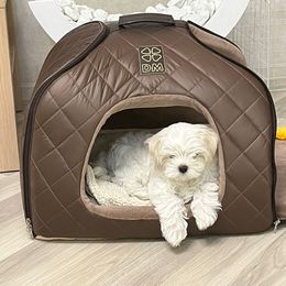 Maltese and Maltipoo Puppies from Iuliia Savisheva