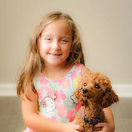 Ariel - Poodle