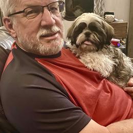 Shih Tzu Puppies from Willow Lane Shih Tzus