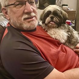 Shih Tzu Puppies from Willow Lane Shih Tzus