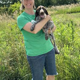 Girl 2 - German Shorthaired Pointer puppy in Dearborn, Missouri from Hardwood Kennels