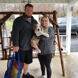 Great Dane Puppies from Broken Arrow Danes