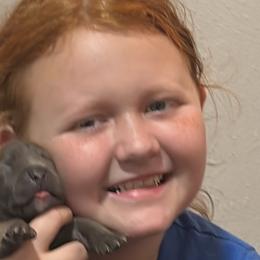 American Pit Bull Terriers from IGY6 Kennels