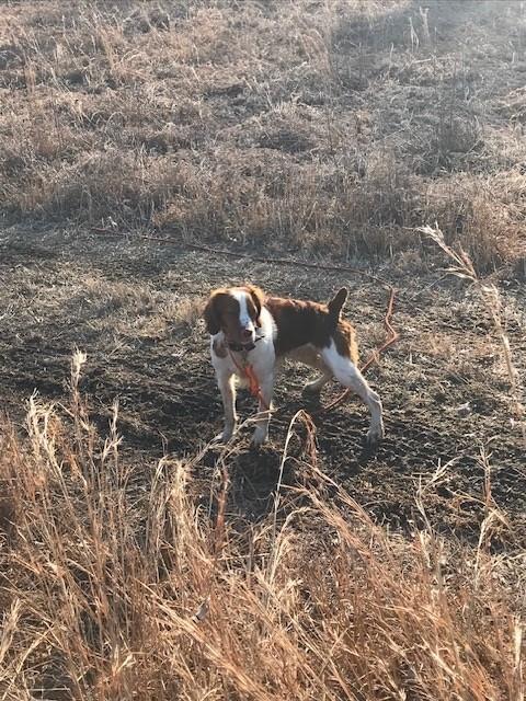 Ryder
