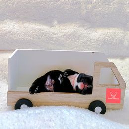 French Bulldog Puppies from FrenchieBnB