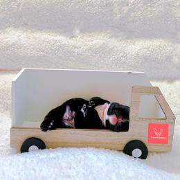 French Bulldog Puppies from FrenchieBnB