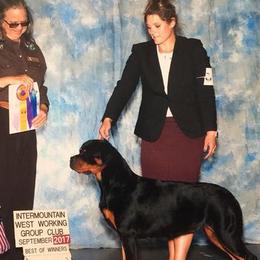 “Aspen” - Rottweiler
