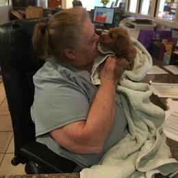 Goldendoodle Puppies from Beck Kennel