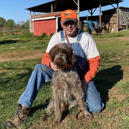 Wirehaired Pointing Griffon All Grown Up from Foggy Gap Griffons