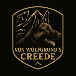 German Shepherd puppies from Creede K9