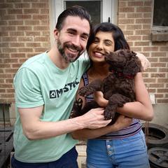 Zeus - Liver male Curly-Coated Retriever puppy in Salt Lake City, Utah from Betacoil Curly Coated Retrievers