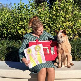 Australian Cattle Dog Puppies from By Design ACD