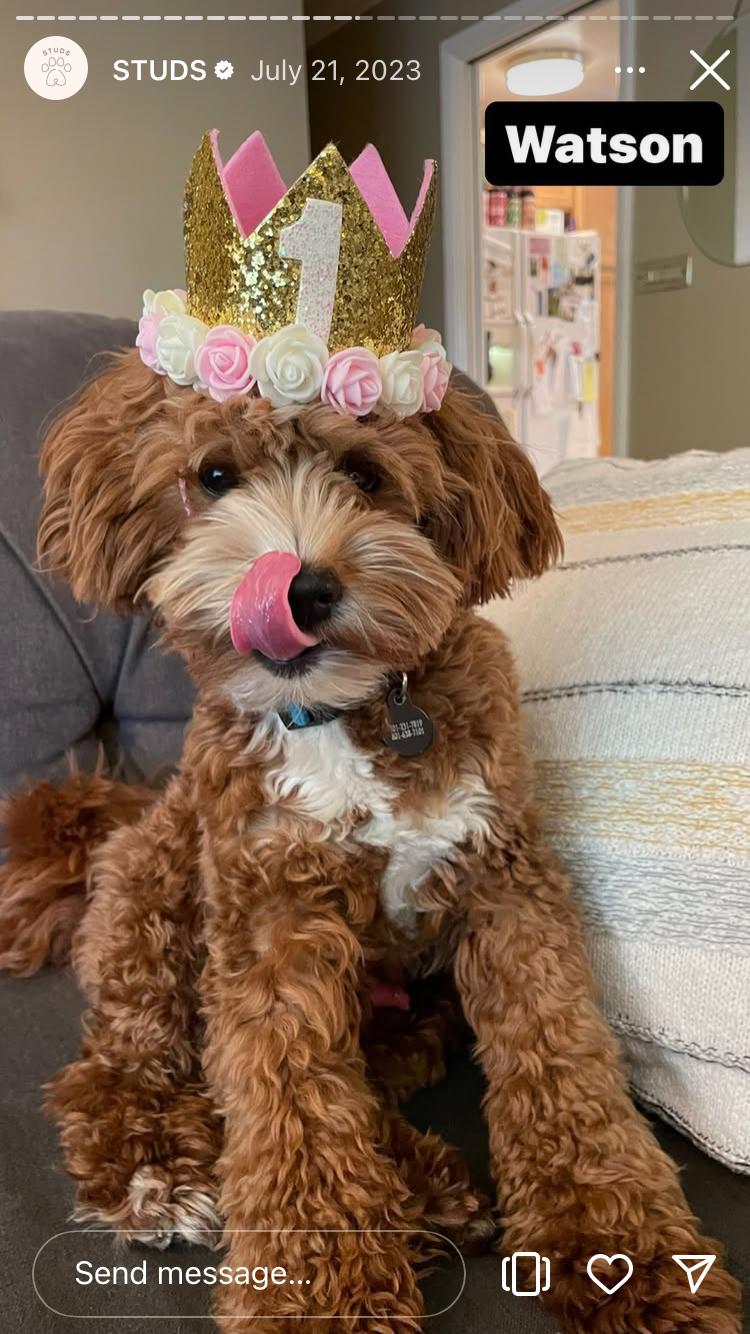Watson