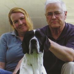 Pointer All Grown Up from Cumbrian Kennel. Henri and Nancy Tuthill