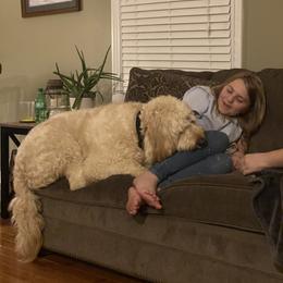 French Bulldog and Goldendoodle All Grown Up from French Valley Miniature Goldendoodles & French Bulldogs