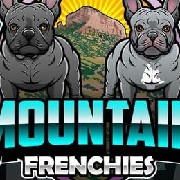 French Bulldogs from Mountain Frenchies 915