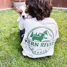 Pembroke Welsh Corgi Puppies from Kern River Corgis