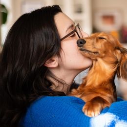Dachshund All Grown Up from Tip O The Lekes Dachshunds