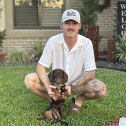 Dachshund All Grown Up from Brit’s Doxie Crossing