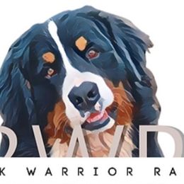 Bernese Mountain Dogs from Black Warrior Ranch
