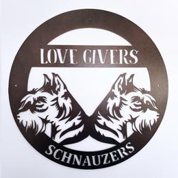 AKC Liver and Tan Girl 2 - Liver female Miniature Schnauzer puppy in Lake Placid, Florida from Love Giver Schnauzers