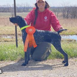 Maggie - German Shorthaired Pointer