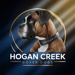 Karma - Boxer