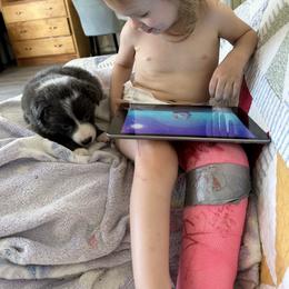 Border Collie Puppies from Athena’s Collies