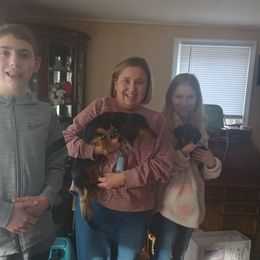 Boy 1 - Black and tan Dachshund puppy in Van Buren Twp, Michigan from Amberly's Dachshunds