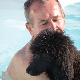 Poodle Puppies from D and D Standard Poodles