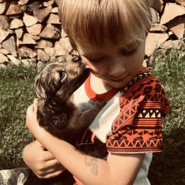 Dachshund Puppies from Hidden Haven Dachshunds