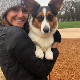 Jada - Cardigan Welsh Corgi