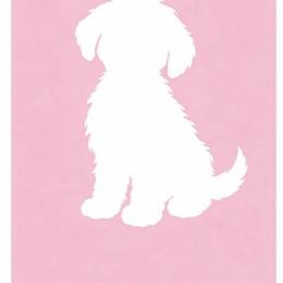 Girl 2 - Red and white female Bulldog puppy in Christiana, Delaware from TnTsBulldogs