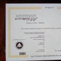 Poodle All Grown Up from Bluemist Kennel