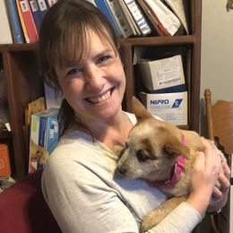 L61-02 - Red speckled female Australian Cattle Dog puppy in Sheridan, Oregon from 6pk Cattledogs