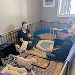 Golden Retriever Puppies from Mountain Sky Goldens   https://youtu.be/30SVQesEtig?si=CMjASv_Tza1VKSNt