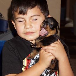 Rottweiler Puppies from Mountain High Kennels